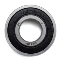 Lager 6203RS Premium