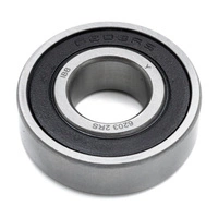 Lager 6203RS Premium