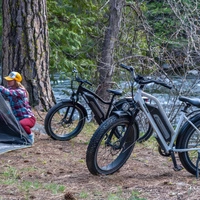 Himiway D3 Cruiser Step-Thru Elektrofahrrad - 250W Leistung | 15Ah Akku | 15.5mph Geschwindigkeit | 60mi Reichweite