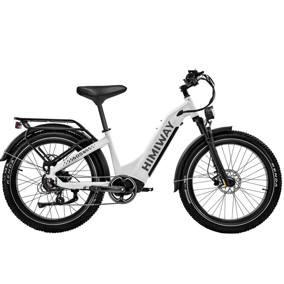 Himiway D5 Zebra Step-Thru Elektrofahrrad - 250W Leistung | 20Ah Akku | 15.5mph Geschwindigkeit | 80mi Reichweite
