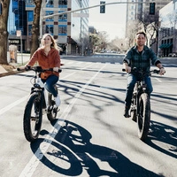 Himiway D5 Zebra High-Step Elektrofahrrad - 250W Leistung | 20Ah Akku | 15.5mph Geschwindigkeit | 80mi Reichweite