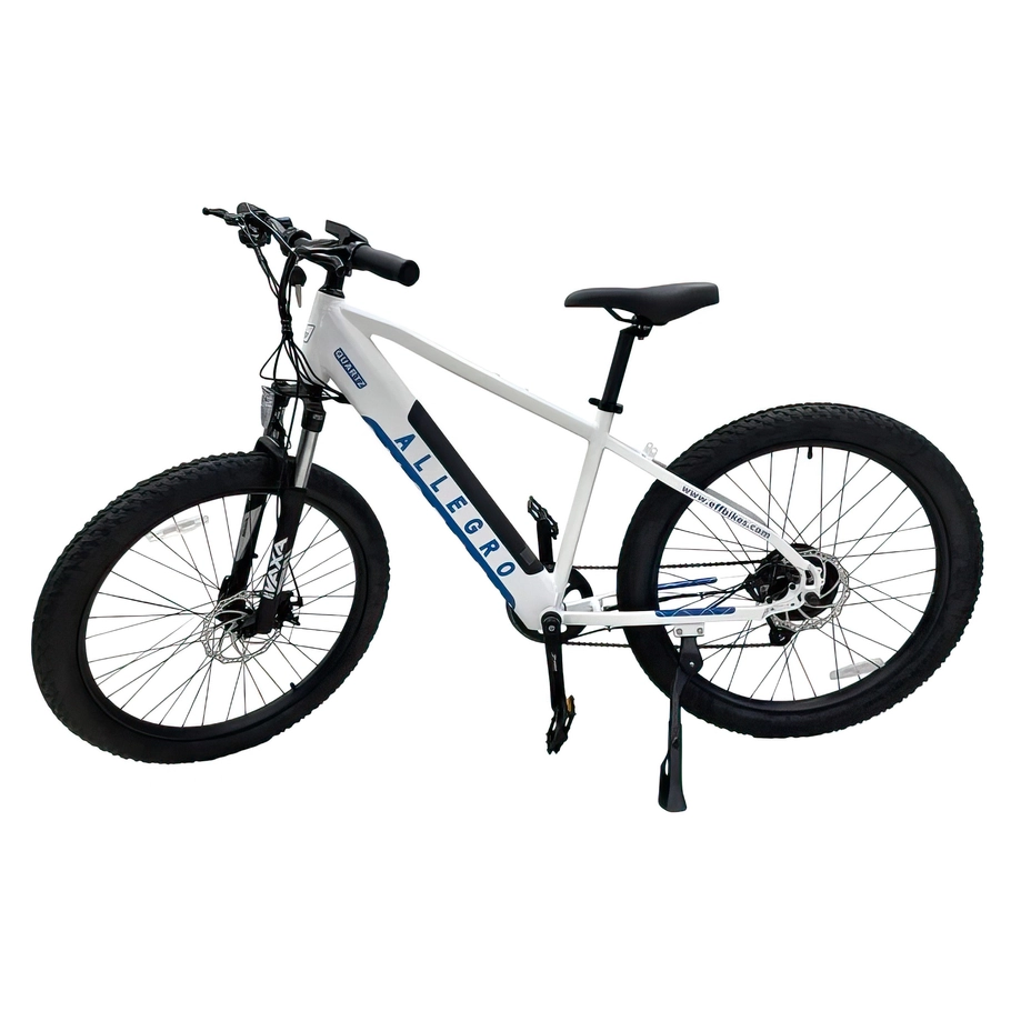 Allegro City Cruiser E-Bike 500W 36V 13Ah Elektrofahrrad