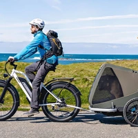 Himiway D3 Cruiser Step-Thru Elektrofahrrad - 250W Leistung | 15Ah Akku | 15.5mph Geschwindigkeit | 60mi Reichweite