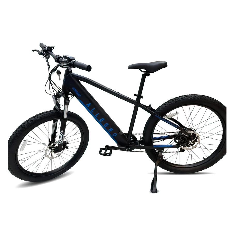 Allegro City Cruiser E-Bike 500W 36V 13Ah Elektrofahrrad