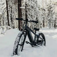 Himiway D5 Zebra High-Step Elektrofahrrad - 250W Leistung | 20Ah Akku | 15.5mph Geschwindigkeit | 80mi Reichweite