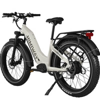 Himiway D5 Zebra Step-Thru Elektrofahrrad - 250W Leistung | 20Ah Akku | 15.5mph Geschwindigkeit | 80mi Reichweite