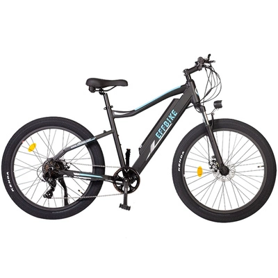 Allegro City Cruiser E-Bike 500W 36V 13Ah Elektrofahrrad