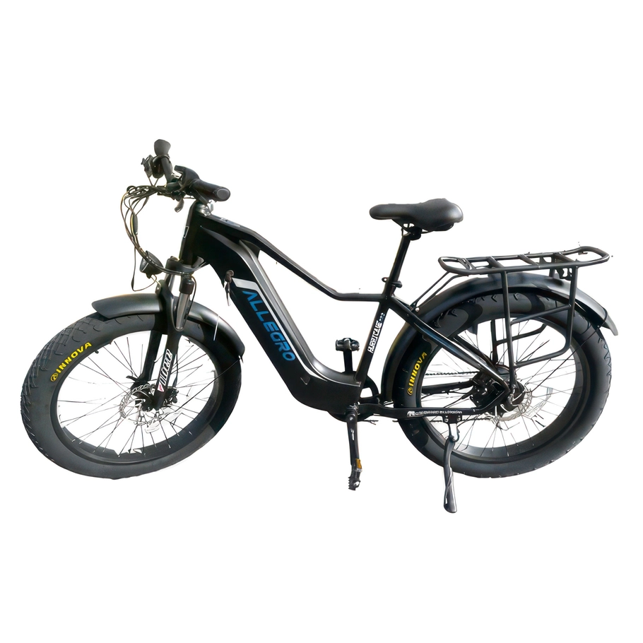 Allegro Huricane Ebike 750W 48V 20Ah Hydraulische Bremse Große Reichweite Elektrofahrrad