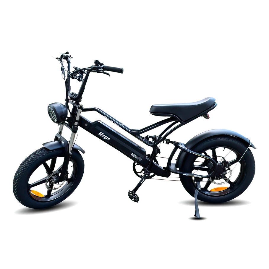 Allegro City Chopper Hydraulische Bremse 30 mph Vollfederung Ebike