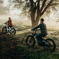 Himiway D5 Zebra High-Step Elektrofahrrad - 250W Leistung | 20Ah Akku | 15.5mph Geschwindigkeit | 80mi Reichweite