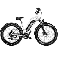 Himiway D3 Cruiser Step-Thru Elektrofahrrad - 250W Leistung | 15Ah Akku | 15.5mph Geschwindigkeit | 60mi Reichweite